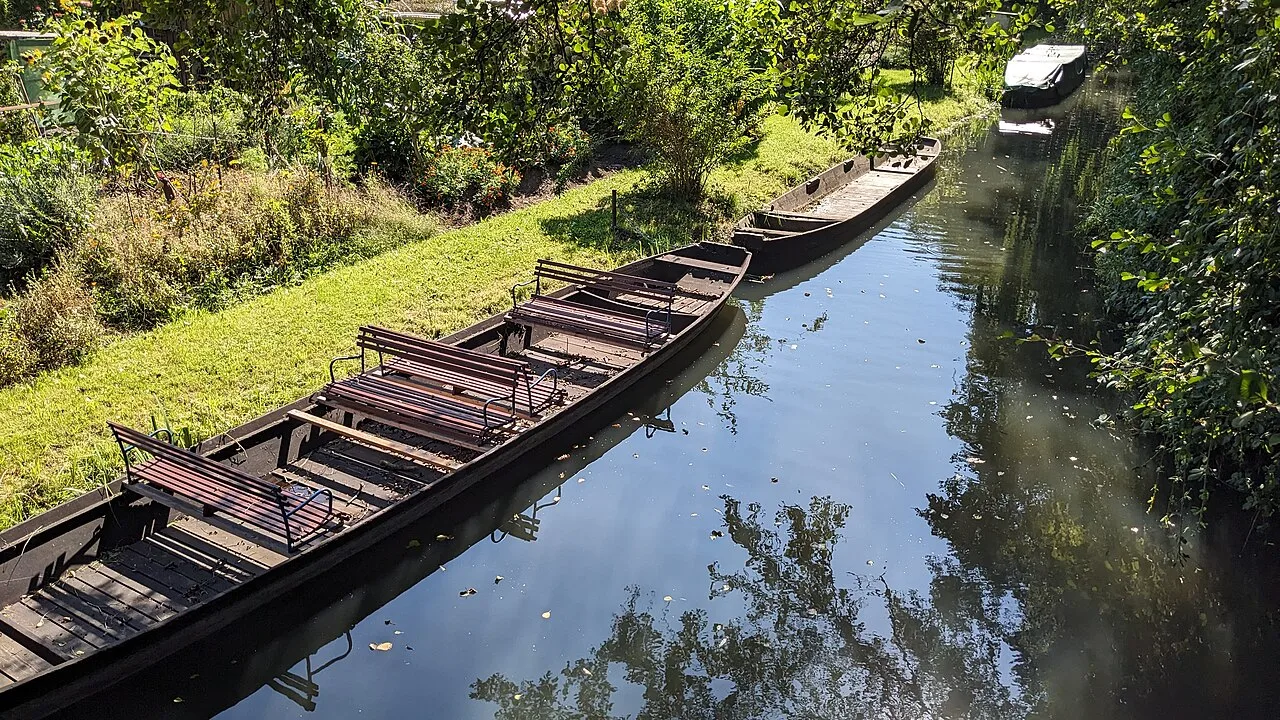Een traditionele punt-boot (Kahn) op een van de kanalen van de Spreewald omgeven door weelderige wilgen en het waterrijke landschap